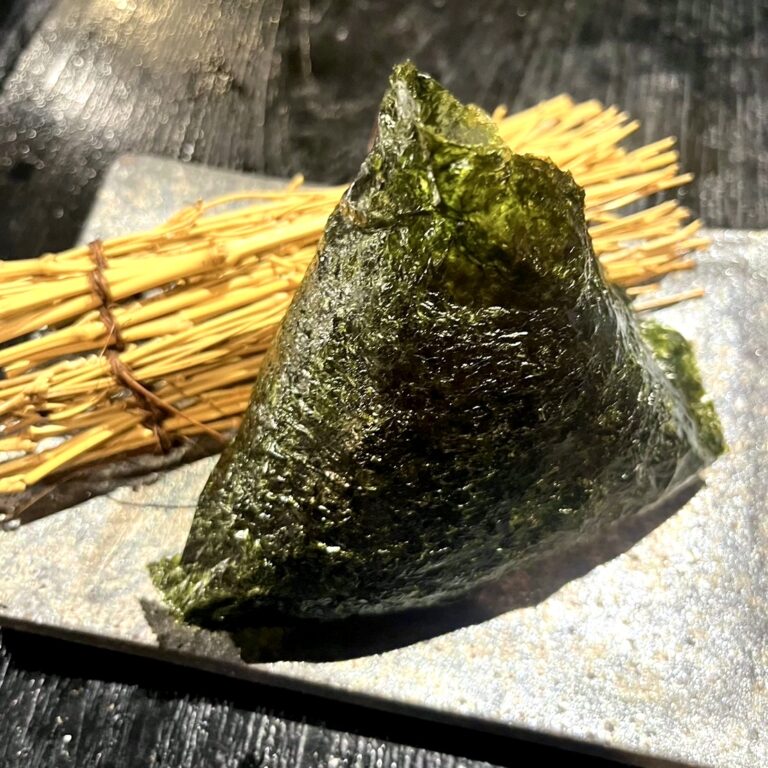 Adult Tuna Mayo Rice Ball